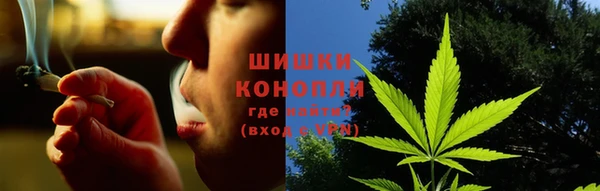 ешки Белокуриха