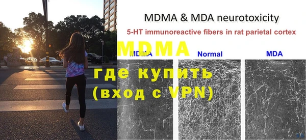 мяу мяу мука Баксан