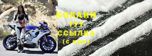 трава Беломорск