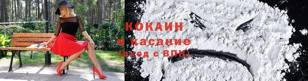 мяу мяу мука Баксан